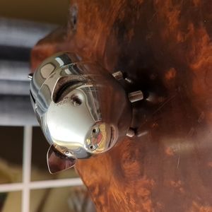 Silver Piggy Bank